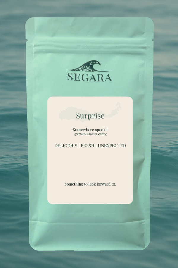 6-Month Gift Subscription