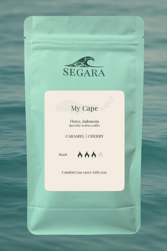 6-Month Gift Subscription