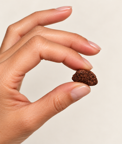 Chocolate & Cacao Espresso Beans